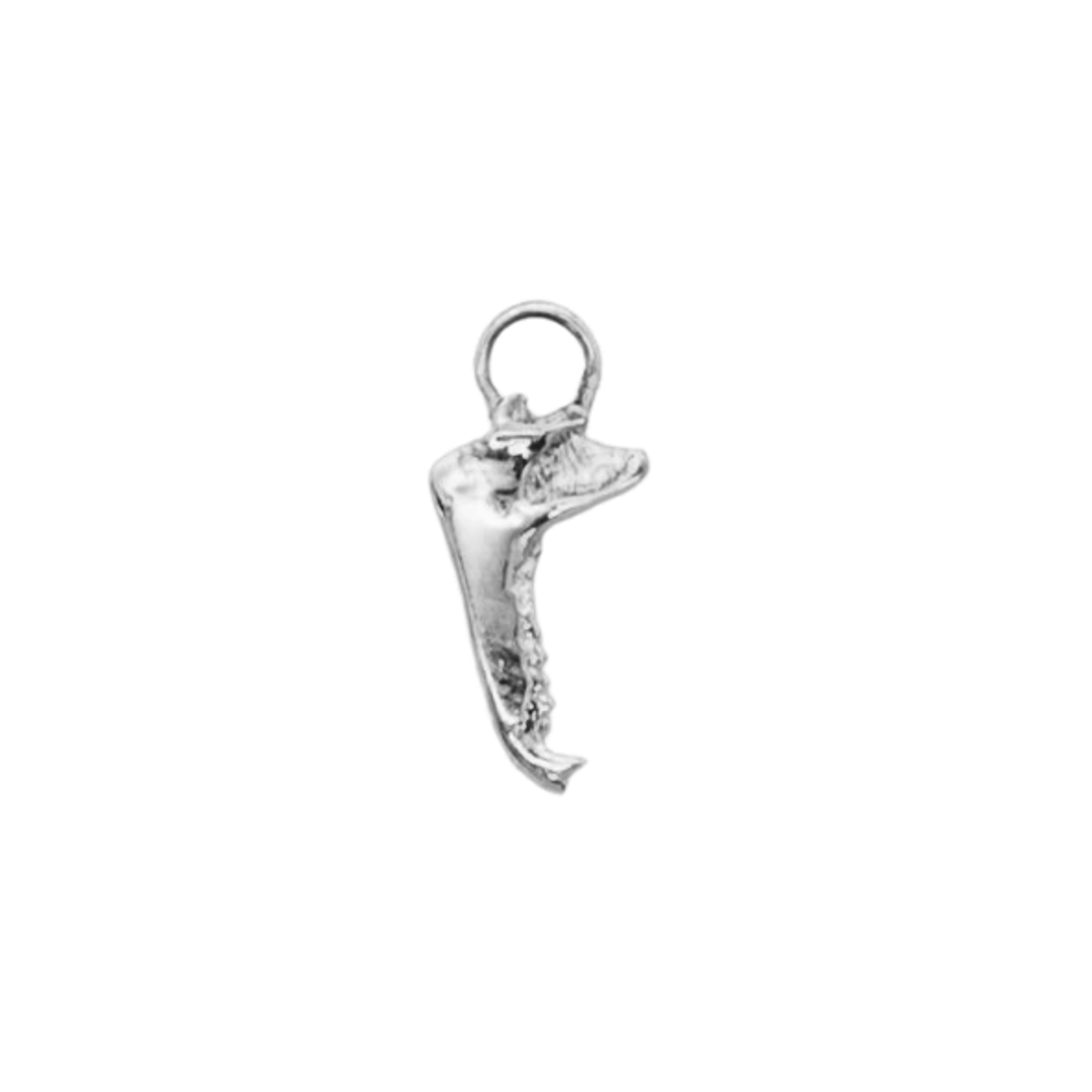 Fox Jaw Charm
