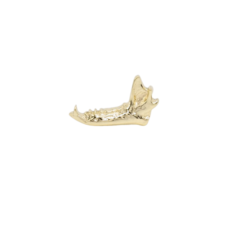 Fox Jaw