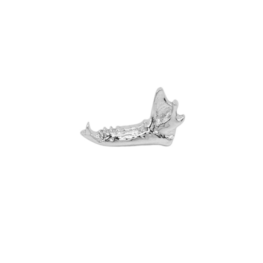 Fox Jaw