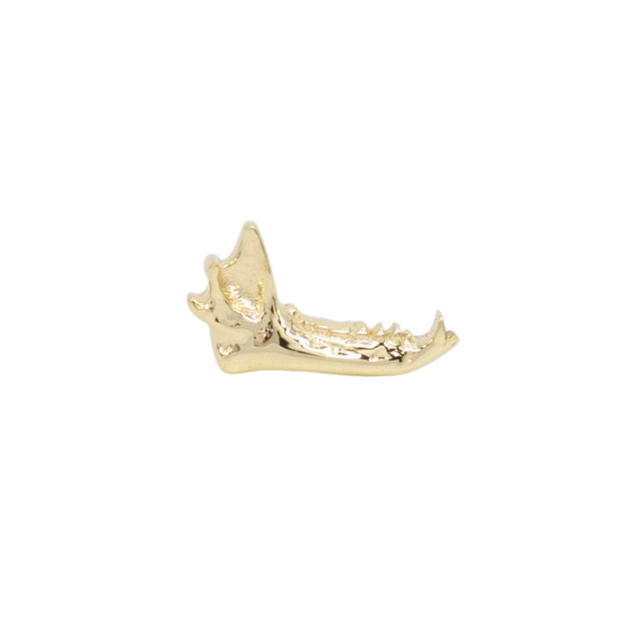 Fox Jaw