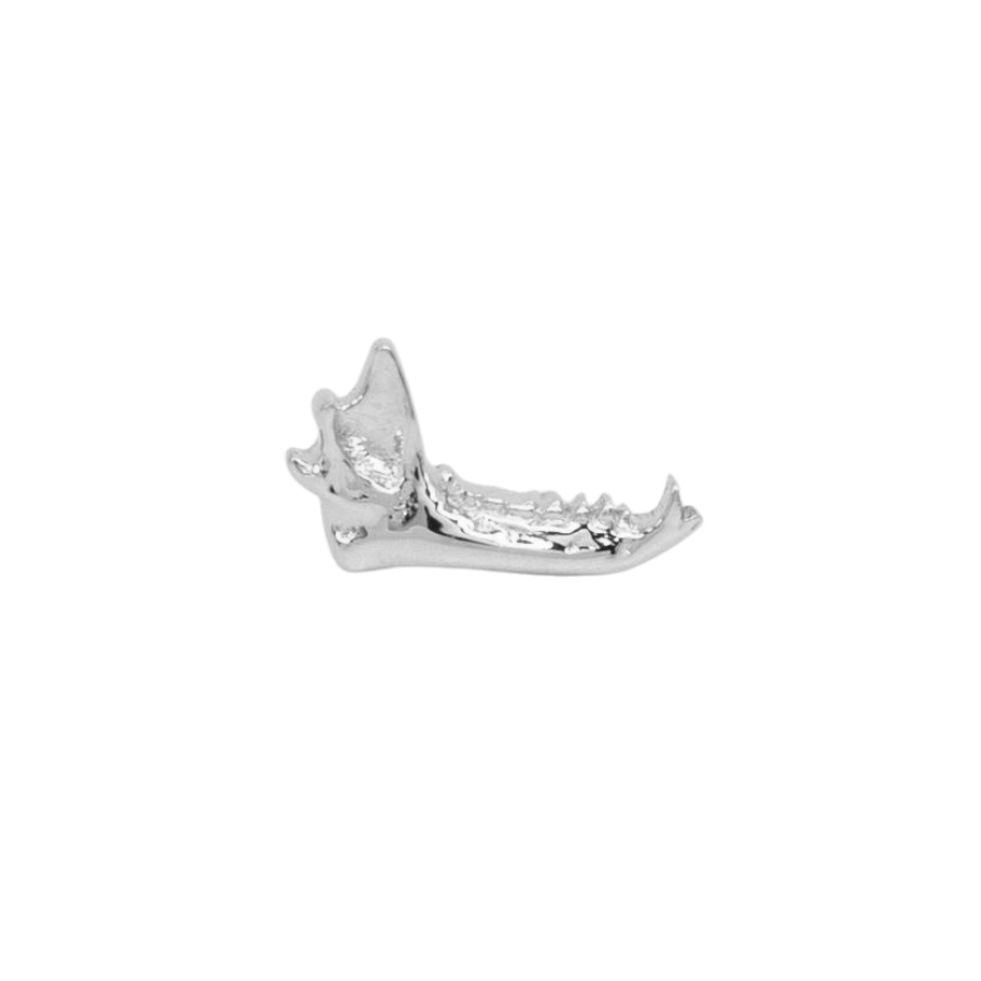 Fox Jaw